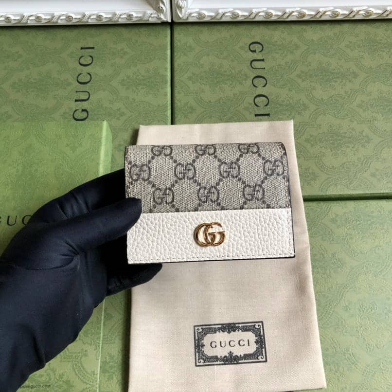 GG0411-037